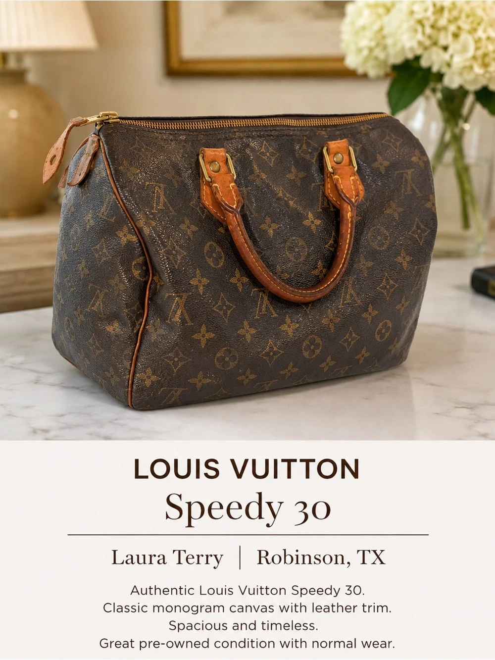 Louis Vuitton Monogram Speedy Satchel - Dark Brown & Tan